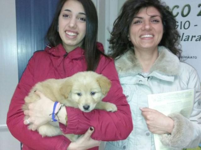 Felicita!